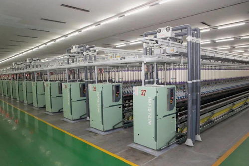 杜小剛調(diào)研企業(yè)運(yùn)行與新建高校發(fā)展，強(qiáng)調(diào)技術(shù)開發(fā)與人才培養(yǎng)雙輪驅(qū)動